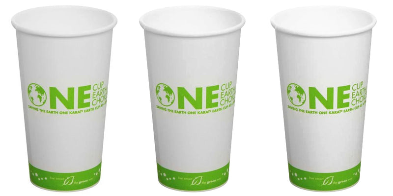 Best Disposable Drinkware in 2020