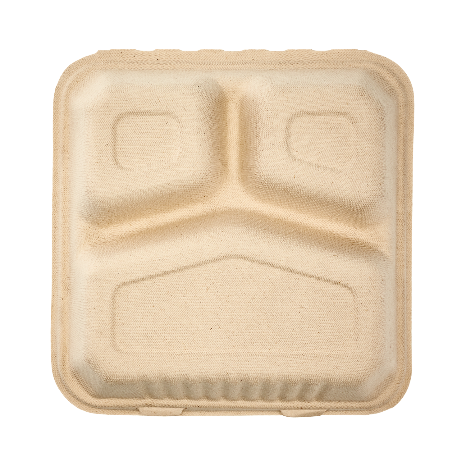 Compostable Ovation 9x9 Carryout Container 300/Case