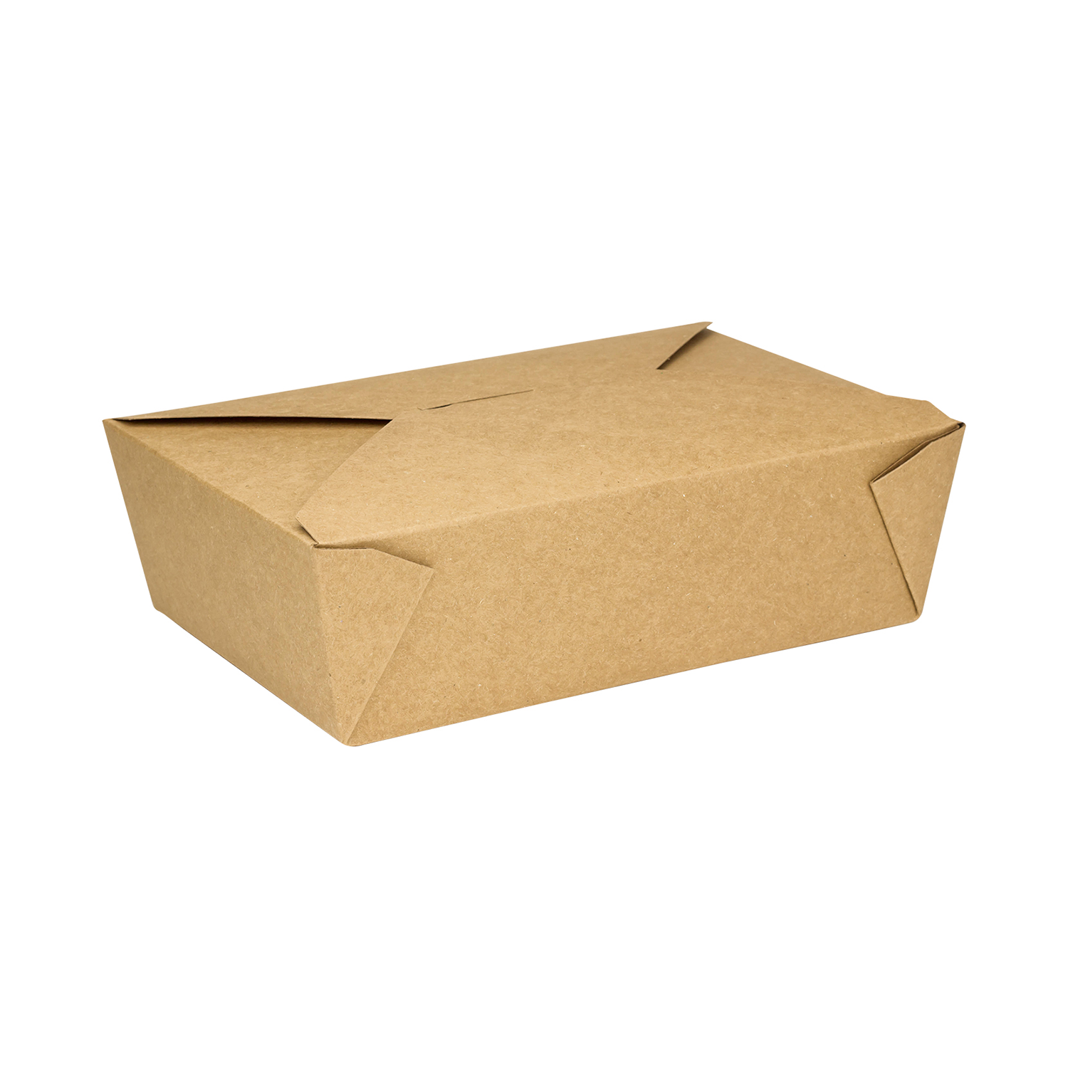 Biodegradable Restaurant Carryout or Party Take Home Boxes with Clamshell  Hinged Lid 50 Pack - China Biodegradable Food Boxes, Take Home Box